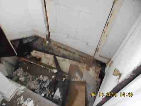 8266 Badger (25)_m.jpg